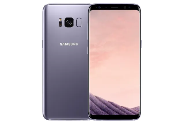 Samsung Galaxy S8 SM-G9500 in GRAY